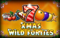 Wild Forties Xmas logo