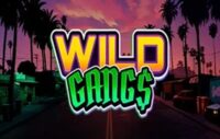 Wild Gangs logo