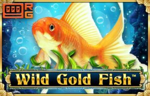 Wild Gold Fish