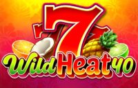Wild Heat 40 logo