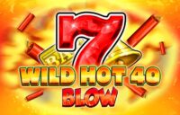 Wild Hot 40 Blow logo