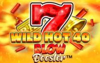 Wild Hot 40 Blow Booster logo