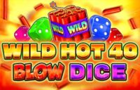 Wild Hot 40 Blow Dice logo
