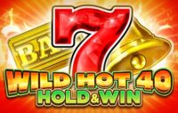 Wild Hot 40 Hold & Win logo