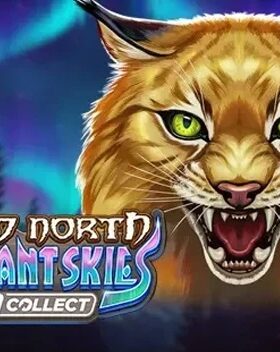 Wild North Radiant Skies GO Collect