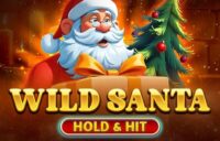 Wild Santa — Hold & Hit logo
