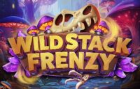 Wild Stack Frenzy logo