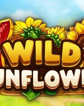 Wild SunFlower