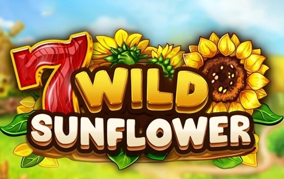Wild SunFlower