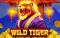 Wild Tiger logo