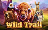 Wild Trail logo