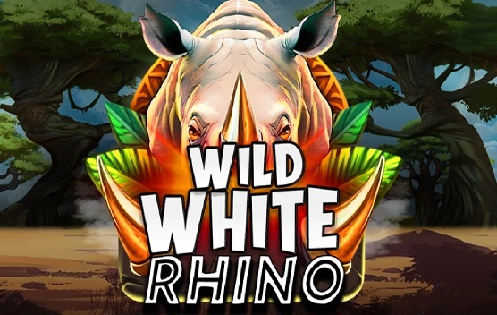 Wild White Rhino