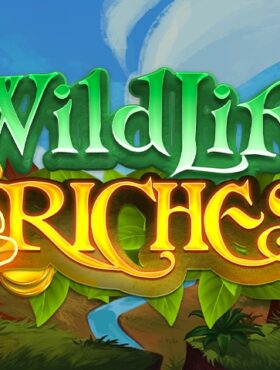 Wildlife Riches