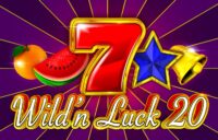 Wild’n Luck 20 logo