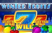 Winter Fruits logo