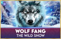 Wolf Fang — The Wild Snow logo