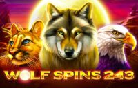 Wolf Spins 243 logo